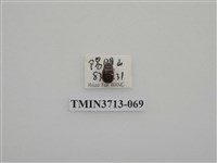 藏品(金龜子科)的圖片